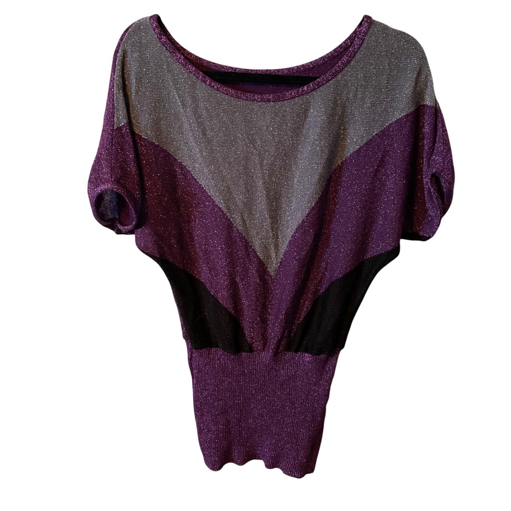 CENIT Knit Sparkly V Chevron Dolman Sleeve Sweater Top Purple Silver Black M